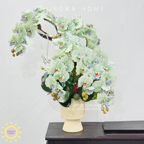 Chậu hoa lan hồ điệp Yên Cảnh cao cấp