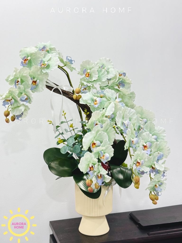 Chậu hoa lan hồ điệp Yên Cảnh cao cấp