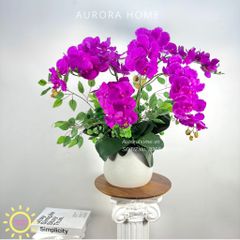 Chậu hoa lan hồ điệp Lạc Trân cao cấp