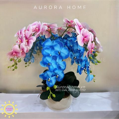 Bình hoa Lan Hồ Điệp 3D tông xanh hồng rực rỡ