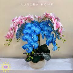 Bình hoa Lan Hồ Điệp 3D tông xanh hồng rực rỡ