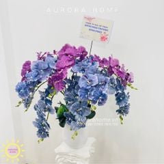 Bình hoa Lan Hồ Điệp Cánh Bướm Melapita phong cách Pháp