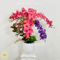 Bình hoa Lan Hồ Điệp Hola Hola tông hồng xinh đẹp