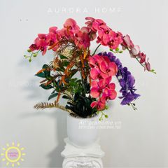 Bình hoa Lan Hồ Điệp Hola Hola tông hồng xinh đẹp