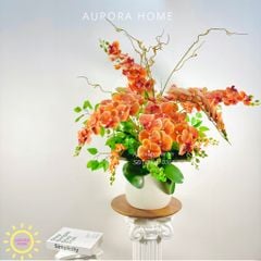 Chậu hoa lan hồ điệp Đông Quân sang trọng