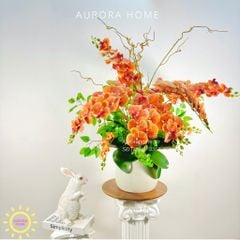 Chậu hoa lan hồ điệp Đông Quân sang trọng