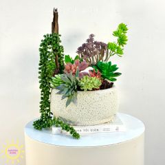 Chậu hoa sen đá thiết kế Mera mera