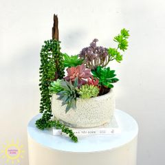 Chậu hoa sen đá thiết kế Mera mera