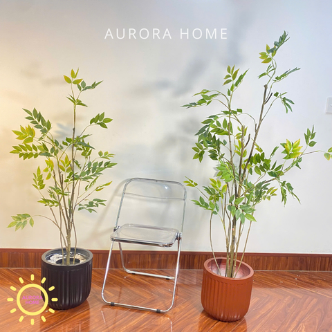 Chậu cây hoàng hoa lê thân uốn cao cấp