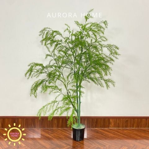 Chậu cây lá thông giả cao cấp trang trí nhà