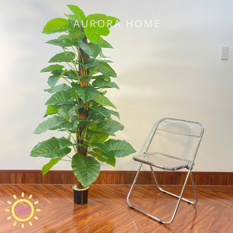 Chậu cây trầu bà leo cột giả cao cấp