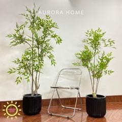 Chậu cây nam thiên trúc giả cao cấp trang trí nhà