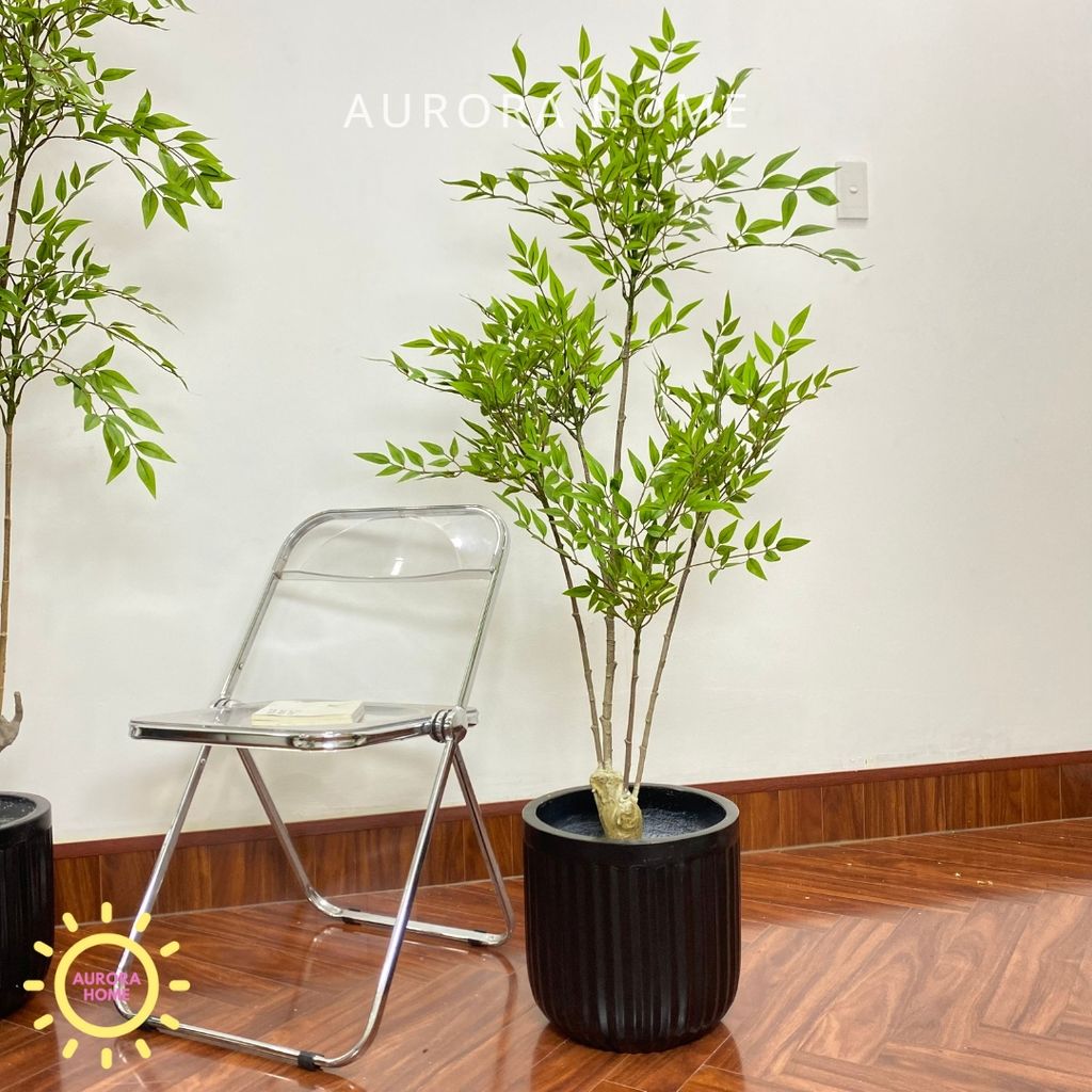 Chậu cây nam thiên trúc giả cao cấp trang trí nhà