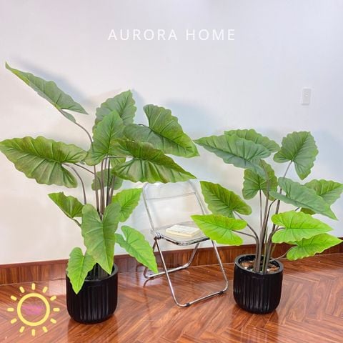 Chậu cây môn cầu vòng giả cao cấp trang trí nhà