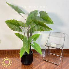 Chậu cây môn cầu vòng giả cao cấp trang trí nhà