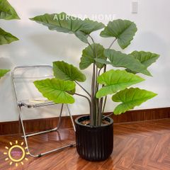 Chậu cây môn cầu vòng giả cao cấp trang trí nhà