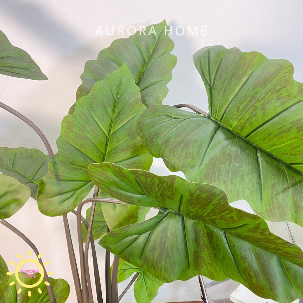 Chậu cây môn cầu vòng giả cao cấp trang trí nhà