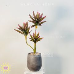 Chậu cây mini cây Thủy Trúc giả cao cấp ( tím )