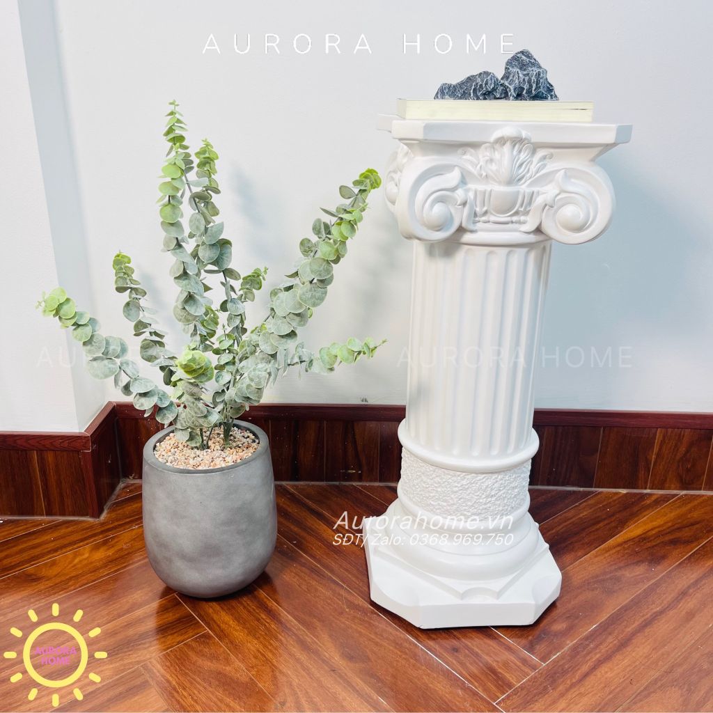 Chậu cây mini cây lá táo phong cách Bắc Âu