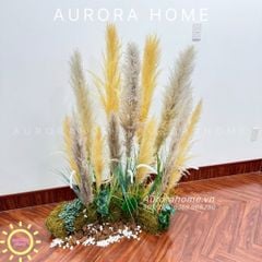 Tiểu cảnh cụm cỏ lau thiết kế theo yêu cầu