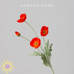 Hoa anh túc giả cao cấp