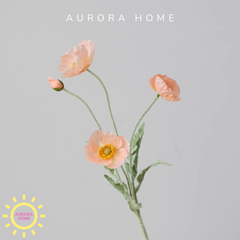 Hoa anh túc giả cao cấp