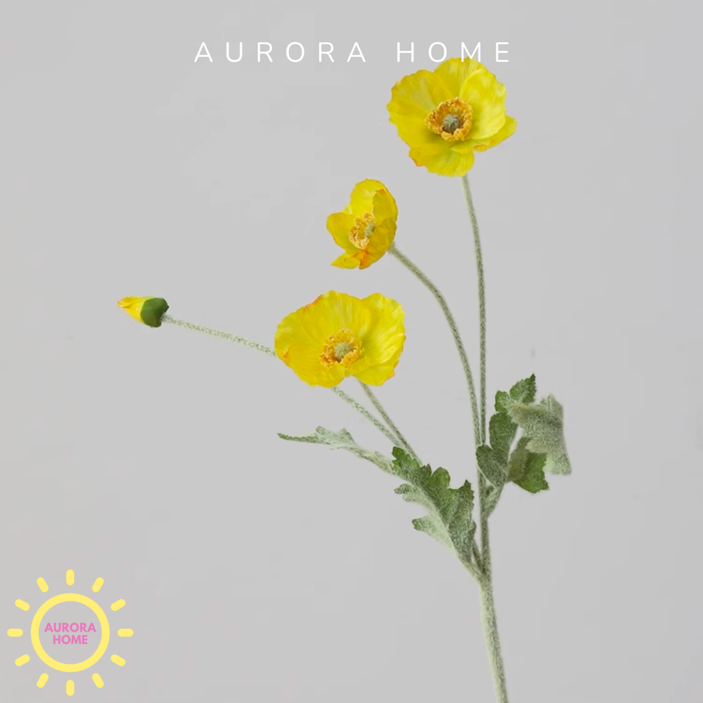 Hoa anh túc giả cao cấp