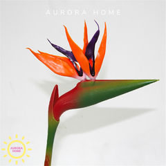 Hoa Thiên Điểu Giả