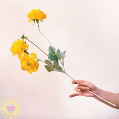 Hoa Đỗ Sen 03 nhánh