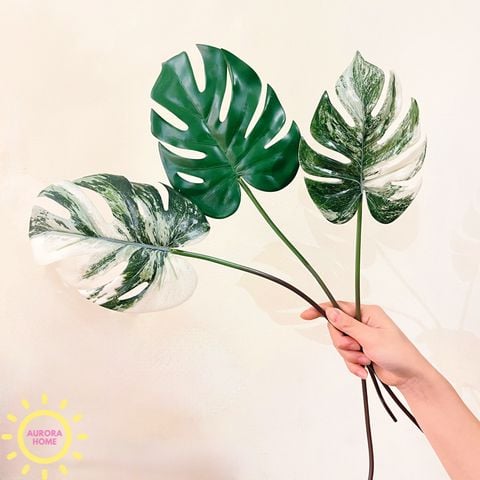 Cành lá Monstera bạch biến 56cm