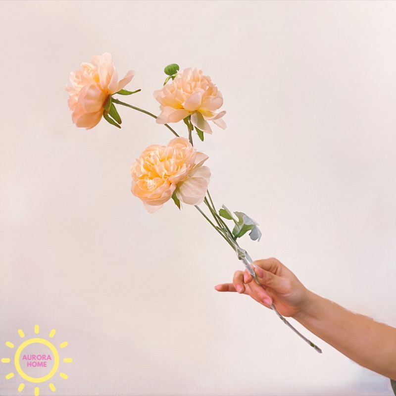 Hoa Đỗ Sen 03 nhánh