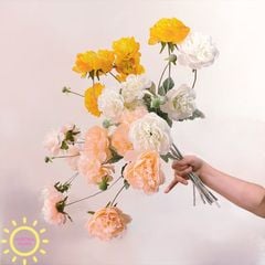 Hoa Đỗ Sen 03 nhánh