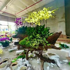 Chậu hoa lan hồ điệp giả VIP (Cắm phối theo yêu cầu)