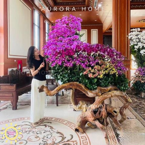 Tháp Lan Hồ Điệp Giả Cao Cấp (Cắm phối theo yêu cầu)