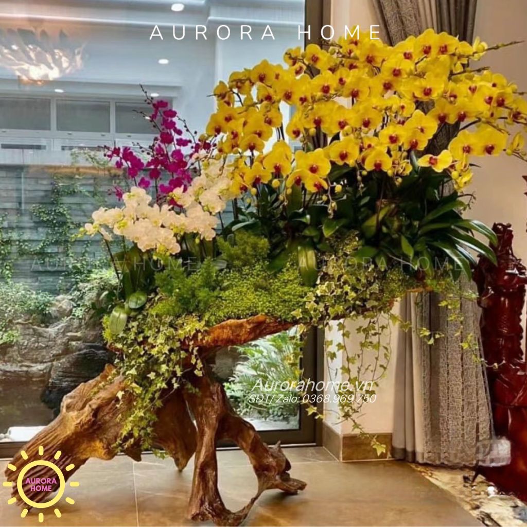 Tháp Lan Hồ Điệp Giả Cao Cấp (Cắm phối theo yêu cầu)