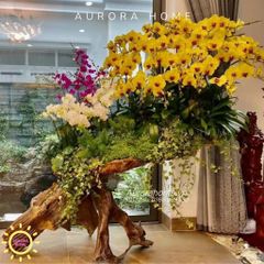 Tháp Lan Hồ Điệp Giả Cao Cấp (Cắm phối theo yêu cầu)