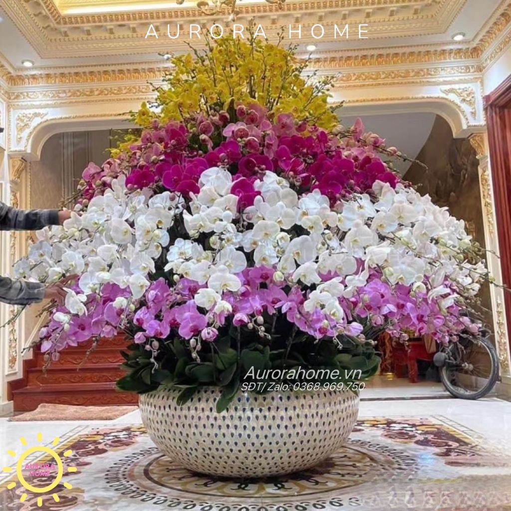 Tháp Lan Hồ Điệp Giả Cao Cấp (Cắm phối theo yêu cầu)