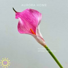 Cành hoa rum cala lily giả cao cấp