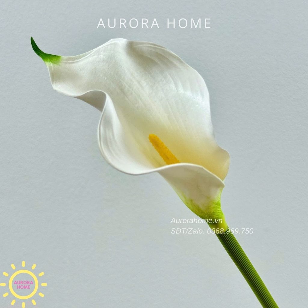 Cành hoa rum cala lily giả cao cấp
