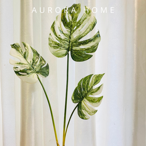 Chậu cây lá Monstera giả bạch biến (3 cành)