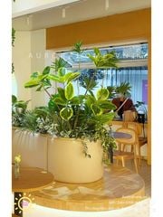 Thi công tiểu cảnh cây giả trang trí quán cafe (Mẫu 8)
