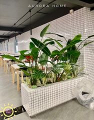Tiểu cảnh cây chuối thiên điểu giả trang trí bếp ăn