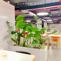 Tiểu cảnh cây chuối thiên điểu giả trang trí bếp ăn