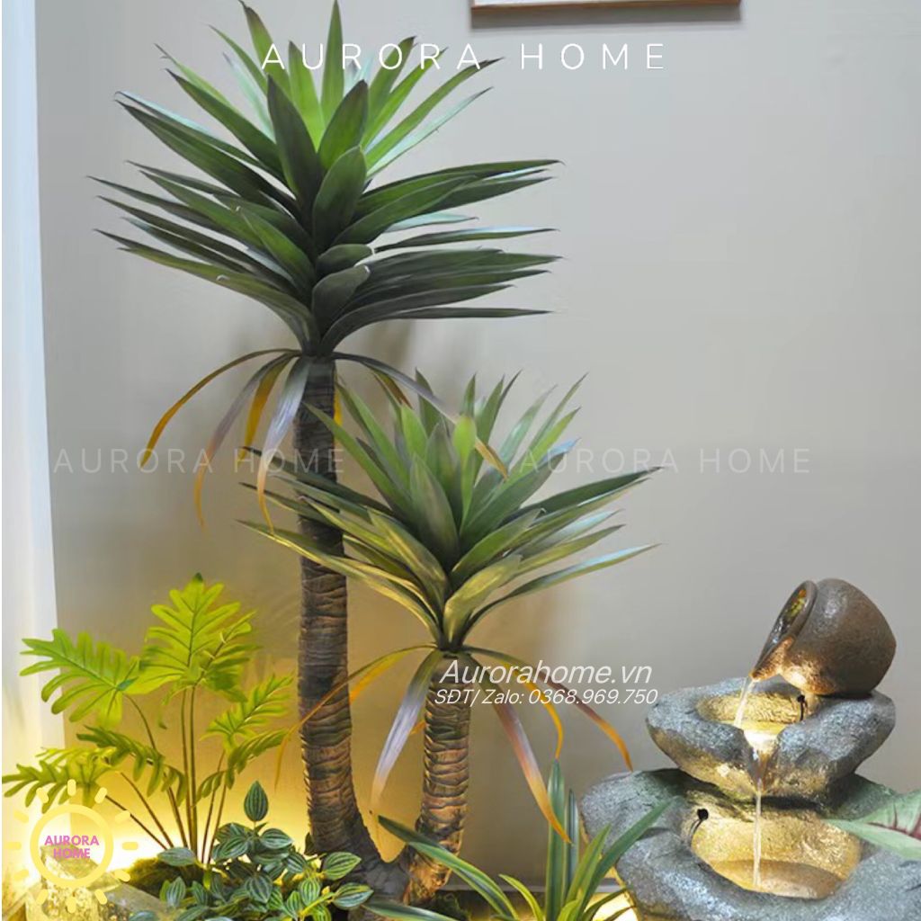 Tiểu cảnh cây phát tài núi giả và hòn non bộ trang trí khuôn viên nhà Quận 2