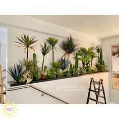 Tiểu cảnh cây giả xương rồng sa mạc, phát tài nhiệt đới trang trí