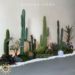 Tiểu cảnh cây xương rồng sa mạc giả trang trí (mẫu 2)