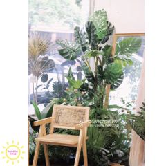 Tiểu cảnh cây giả trang trí cửa kính shop hoa