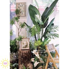 Tiểu cảnh cây giả trang trí cửa kính shop hoa