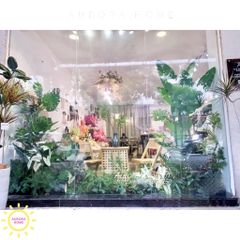 Tiểu cảnh cây giả trang trí cửa kính shop hoa