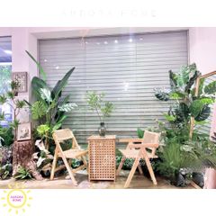 Tiểu cảnh cây giả trang trí cửa kính shop hoa